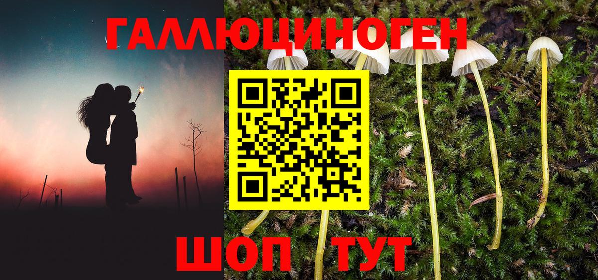 Шелехов  Галлюциногенные грибы Magic Shrooms  Псилоцибиновые грибы Magic Shrooms  Вход с VPN 